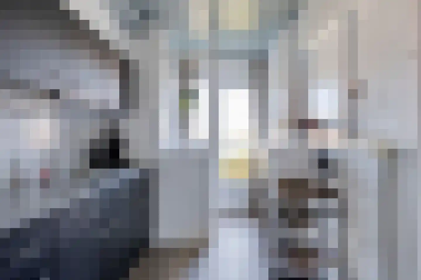 Heischouw 58 Oss thumbnail 12