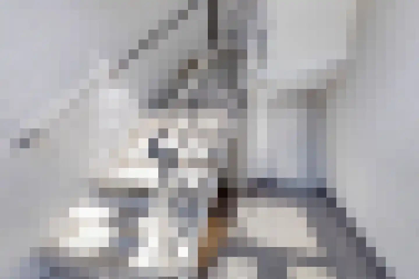 Heischouw 58 Oss thumbnail 21