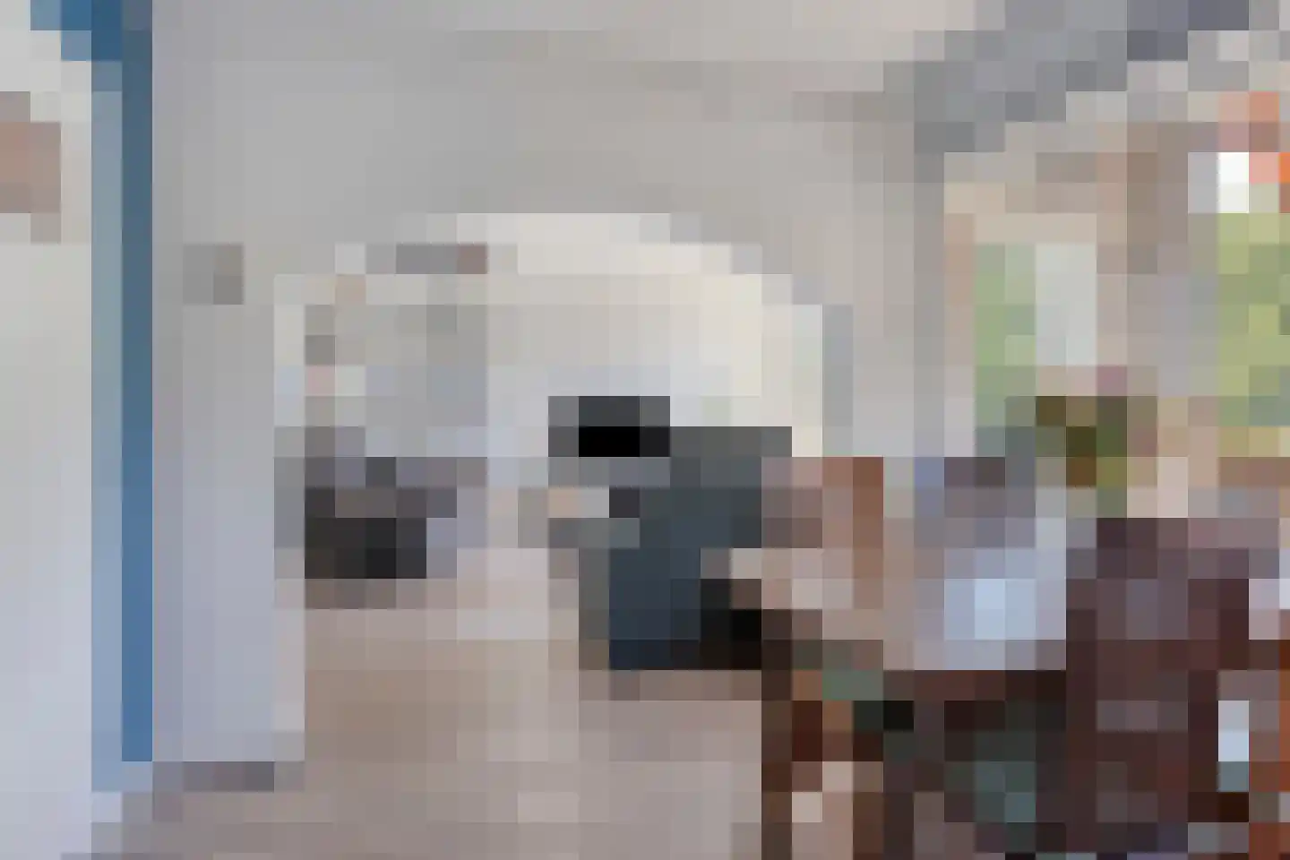 Heischouw 58 Oss thumbnail 6