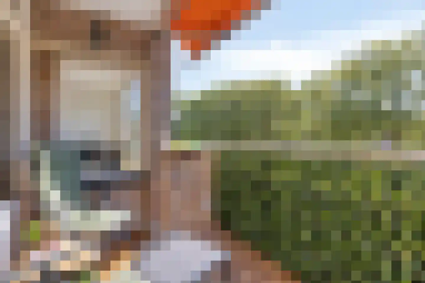 Heischouw 58 Oss thumbnail 8