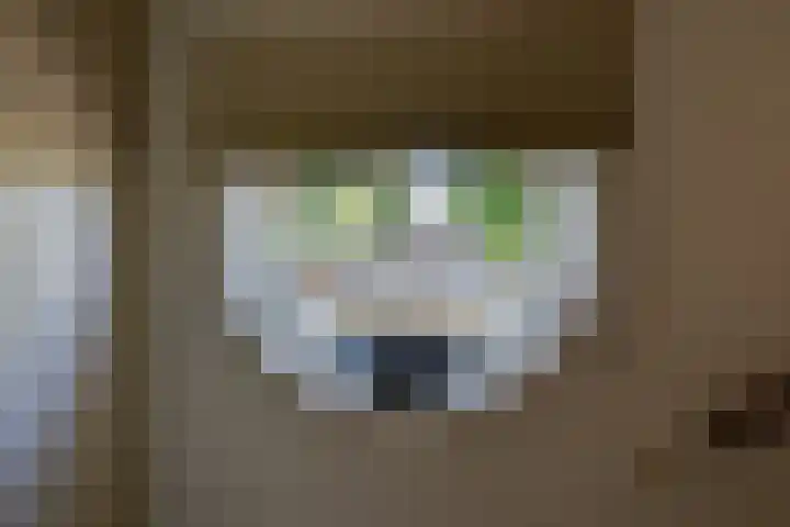 Heisprong 12 Prinsenbeek thumbnail 18