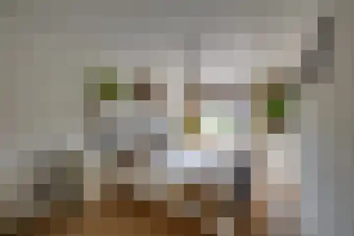 Heisprong 12 Prinsenbeek thumbnail 19