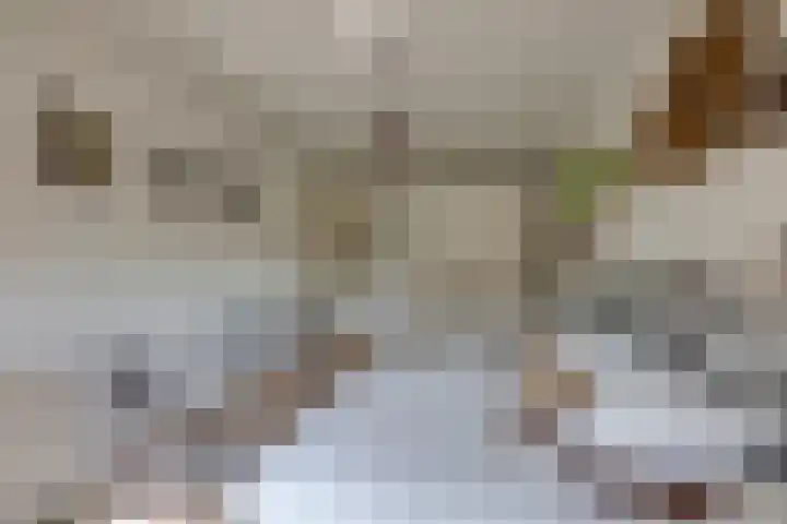 Heisprong 12 Prinsenbeek thumbnail 20