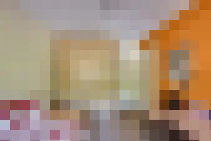 Heisprong 12 Prinsenbeek thumbnail 23