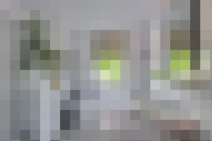 Heisprong 12 Prinsenbeek thumbnail 25