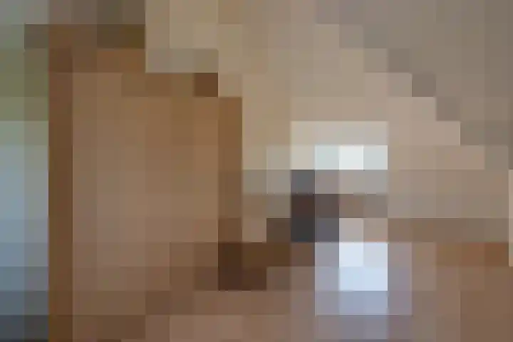 Heisprong 12 Prinsenbeek thumbnail 27