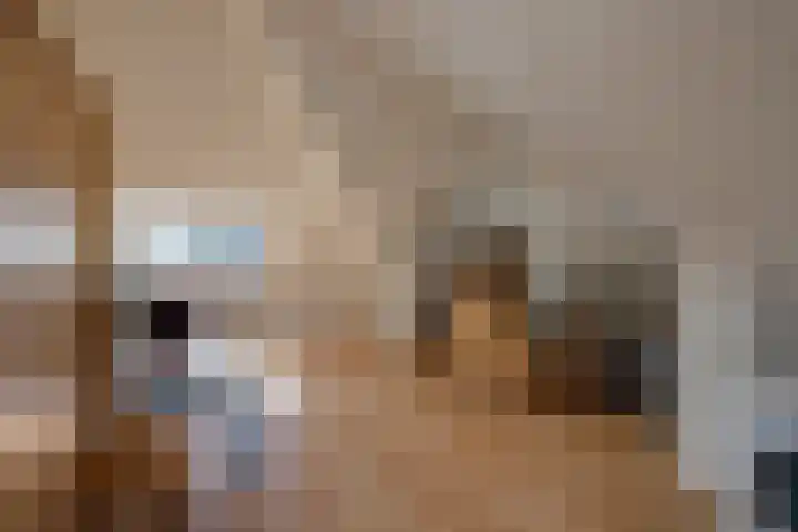 Heisprong 12 Prinsenbeek thumbnail 28