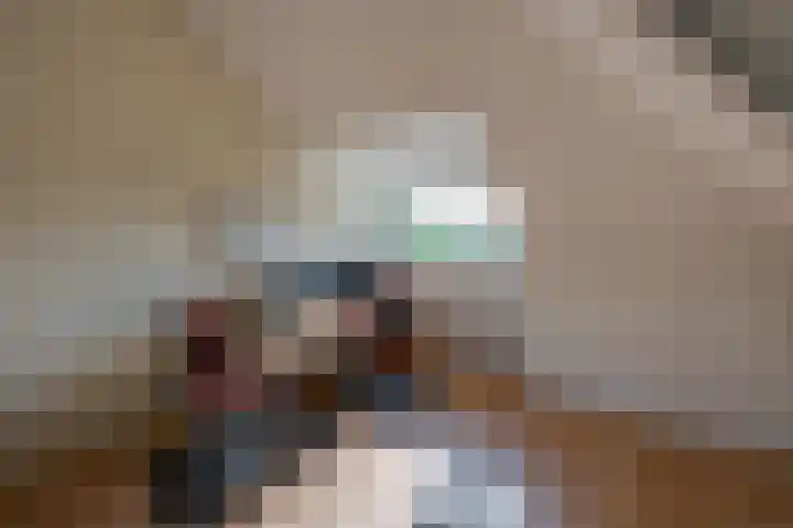 Heisprong 12 Prinsenbeek thumbnail 29