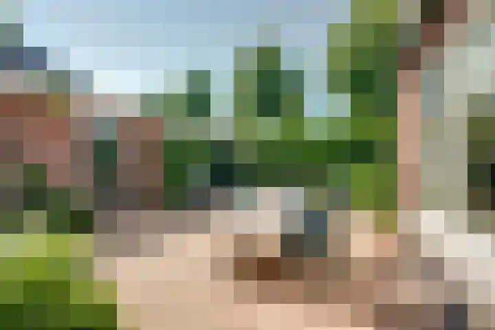 Heisprong 12 Prinsenbeek thumbnail 32