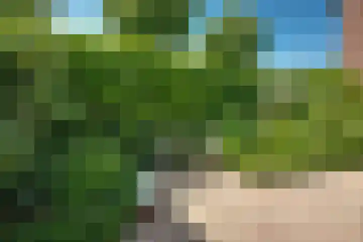 Heisprong 12 Prinsenbeek thumbnail 33