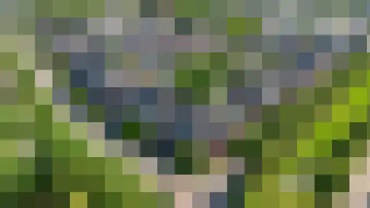 Heisprong 12 Prinsenbeek thumbnail 4