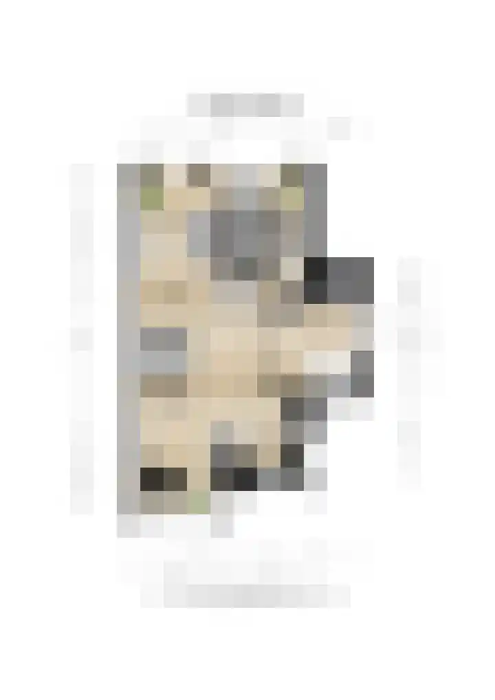 Heisprong 12 Prinsenbeek thumbnail 41