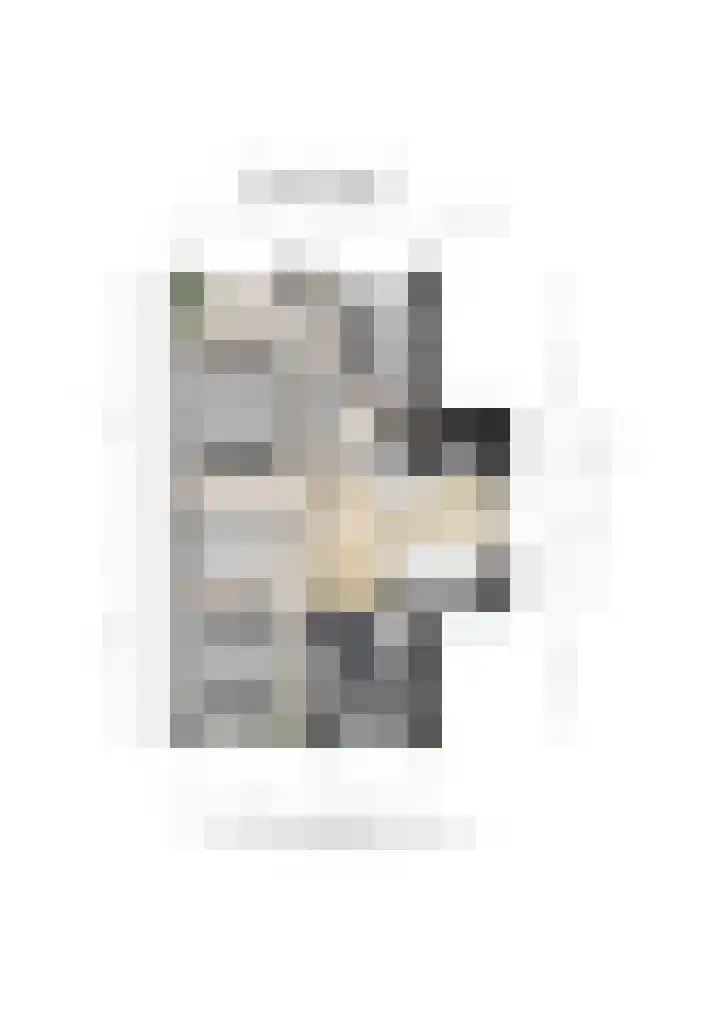 Heisprong 12 Prinsenbeek thumbnail 42