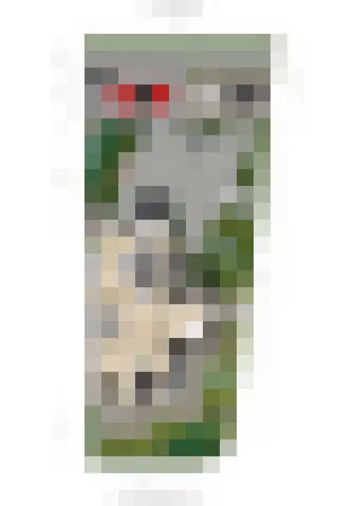 Heisprong 12 Prinsenbeek thumbnail 44