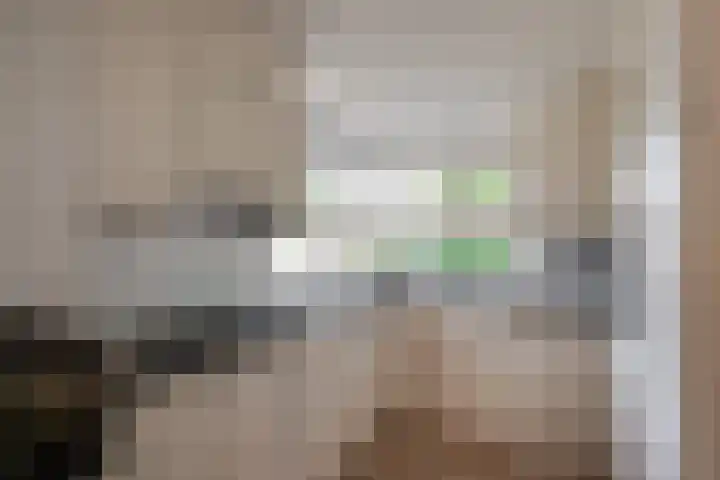 Heisprong 12 Prinsenbeek thumbnail 6