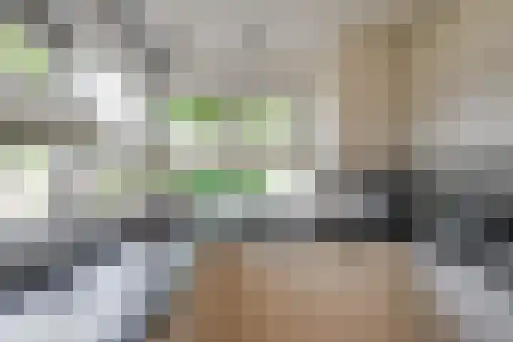 Heisprong 12 Prinsenbeek thumbnail 7