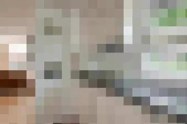 Heisprong 12 Prinsenbeek thumbnail 9