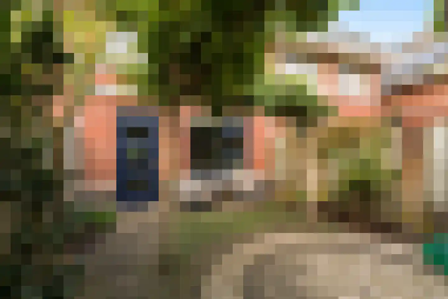 Heisprong 18 Prinsenbeek thumbnail 24