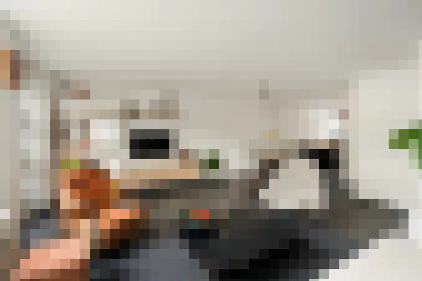 Heisprong 18 Prinsenbeek thumbnail 8