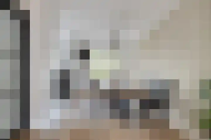 Heisprong 22 Prinsenbeek thumbnail 13