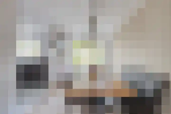 Heisprong 22 Prinsenbeek thumbnail 14