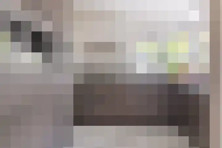 Heisprong 22 Prinsenbeek thumbnail 15