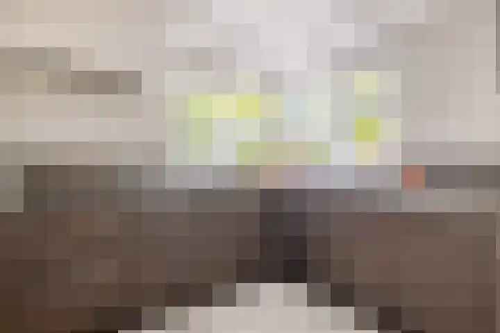 Heisprong 22 Prinsenbeek thumbnail 16