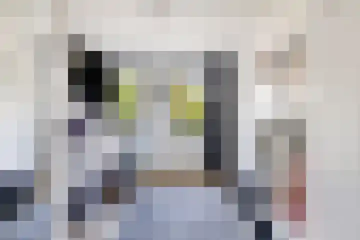 Heisprong 22 Prinsenbeek thumbnail 21