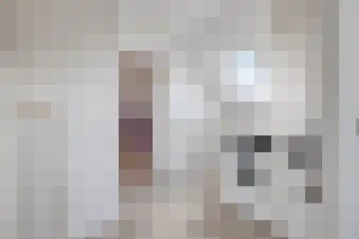 Heisprong 22 Prinsenbeek thumbnail 25