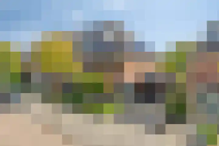 Heisprong 22 Prinsenbeek thumbnail 32