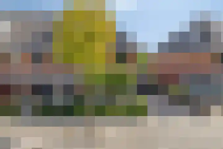 Heisprong 22 Prinsenbeek thumbnail 33