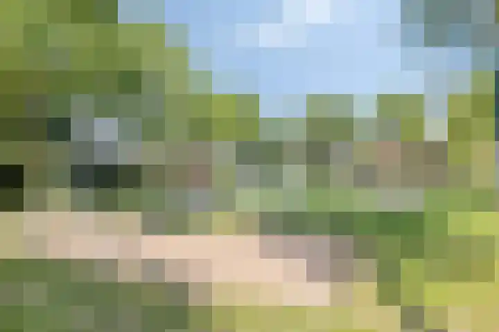 Heisprong 22 Prinsenbeek thumbnail 36