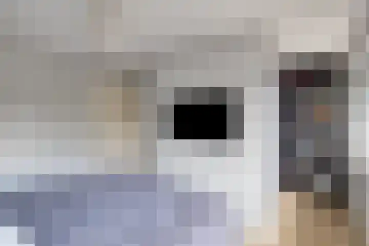 Heisprong 22 Prinsenbeek thumbnail 4