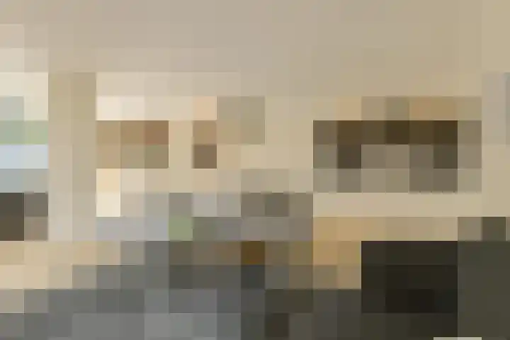 Heisprong 33 Prinsenbeek thumbnail 11