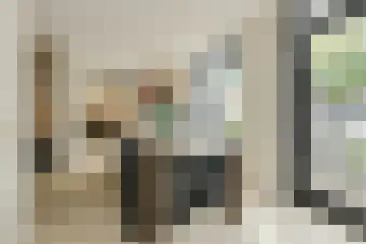 Heisprong 33 Prinsenbeek thumbnail 13