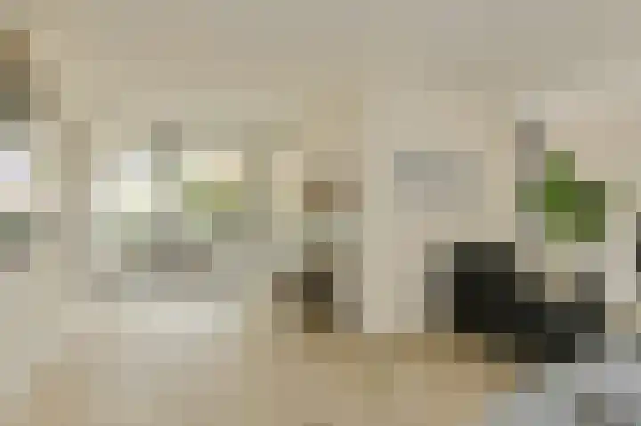 Heisprong 33 Prinsenbeek thumbnail 16