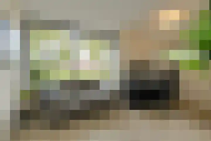 Heisprong 33 Prinsenbeek thumbnail 17