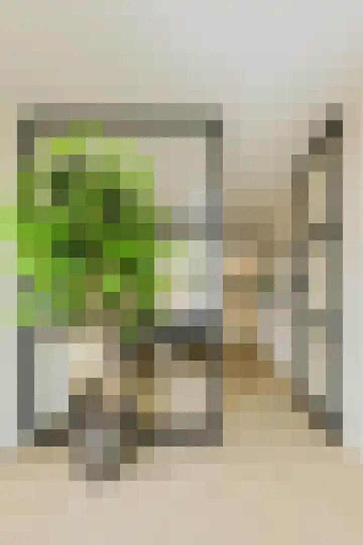 Heisprong 33 Prinsenbeek thumbnail 20