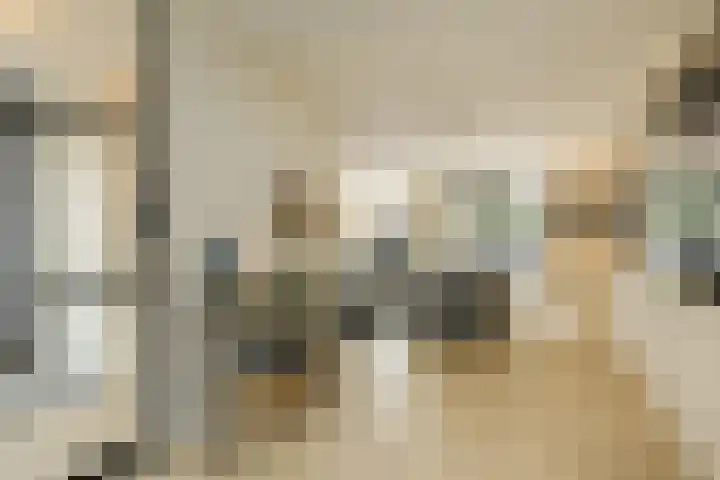 Heisprong 33 Prinsenbeek thumbnail 21