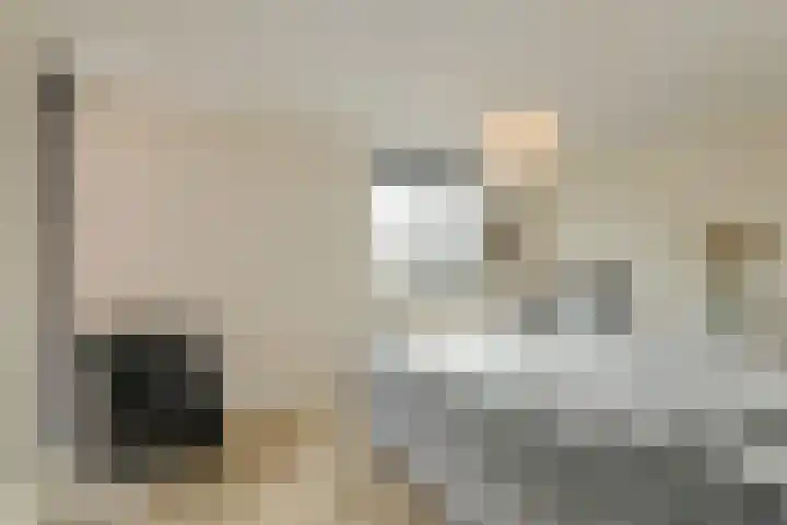 Heisprong 33 Prinsenbeek thumbnail 25