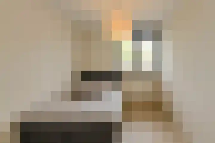 Heisprong 33 Prinsenbeek thumbnail 32