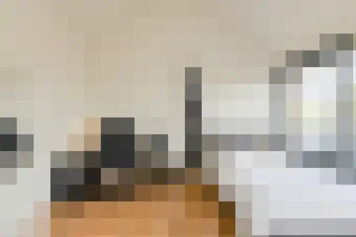 Heisprong 33 Prinsenbeek thumbnail 37
