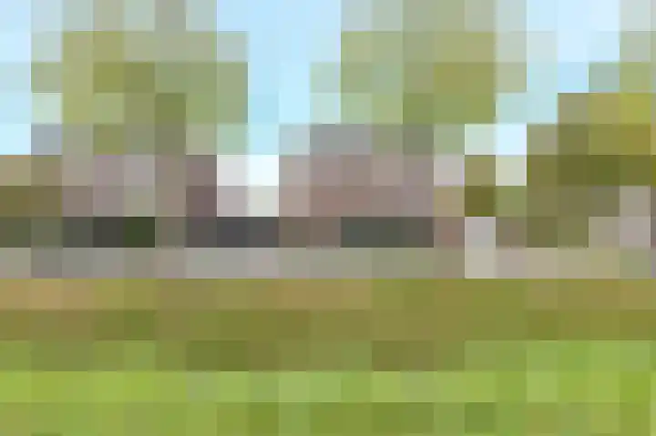 Heisprong 33 Prinsenbeek thumbnail 4
