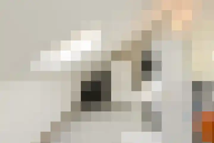 Heisprong 33 Prinsenbeek thumbnail 42