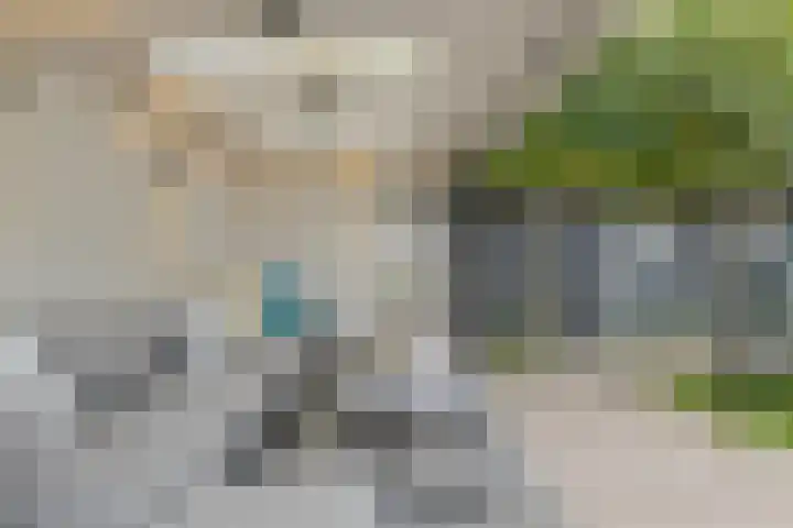 Heisprong 33 Prinsenbeek thumbnail 48