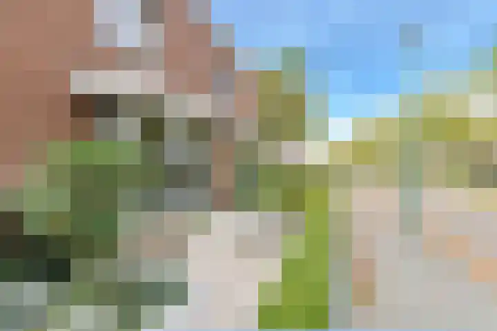 Heisprong 33 Prinsenbeek thumbnail 52