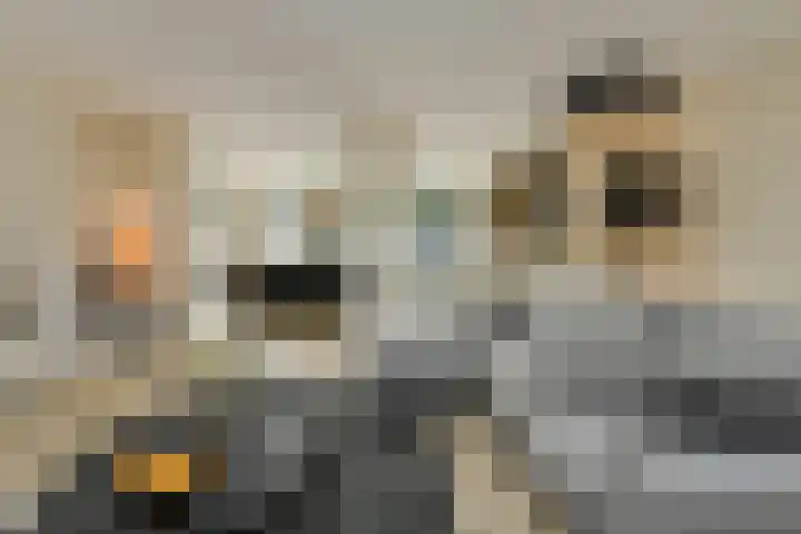 Heisprong 33 Prinsenbeek thumbnail 7