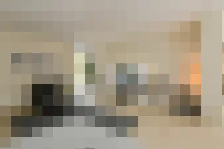 Heisprong 33 Prinsenbeek thumbnail 8