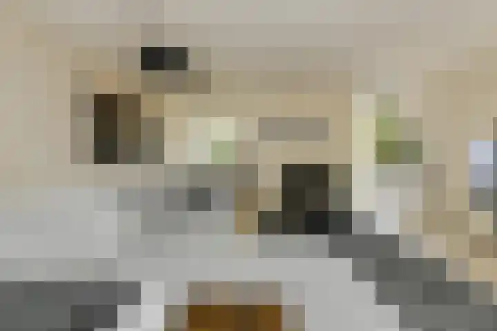 Heisprong 33 Prinsenbeek thumbnail 9