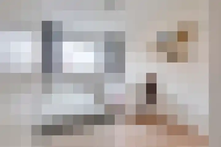 Heisprong 4 Prinsenbeek thumbnail 17